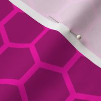 Large Bright Neon Pink Honeycomb Bee Hive Geometric Hexagonal Design