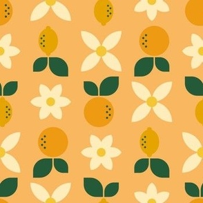 Mod Scandinavian Citrus Fruit - Peach Pink