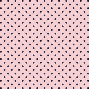 Pastel Pink and Blue Dots Small Scale