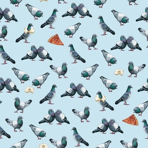 Pigeons-SP-02-01