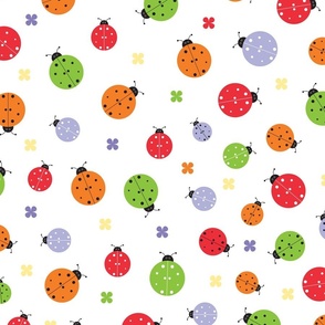 Colorful Ladybugs - White Background
