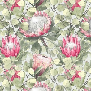 King Protea Plus- light gray background(large scale) 12x14