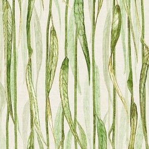 Weeping Willow Tree Leaves on Cream, Eggshell, Ivory and pastel green, artichoke, celadon, sage for neutralbotanicalsdc for gender neutral ,baby,   nursery wallpaper