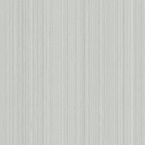 Natural Hemp Vertical Grasscloth Texture Benjamin Moore _Arctic Gray Icy Blue Gray C9CDC8 Subtle Modern Abstract Geometric