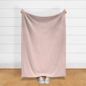 Blush Ballet Pink Solid | F0D2CE