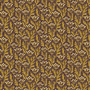 Golden hogweed on a dark background