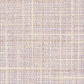 Coarse canvas textured light solid with a soft periwinkle hue