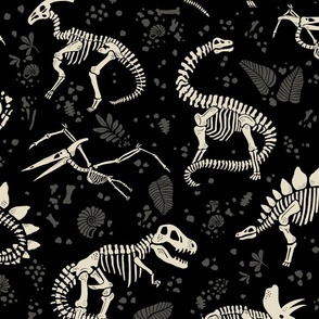 Excavated Dinosaur Fossils - Black