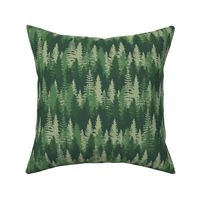 Endless Evergreen Forest with Fir Trees in Shades of Green