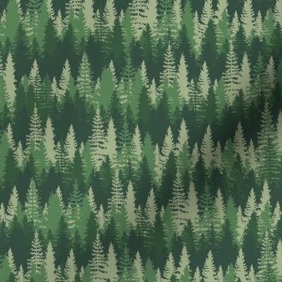 Small Endless Evergreen Forest with Fir Trees in Shades of Green