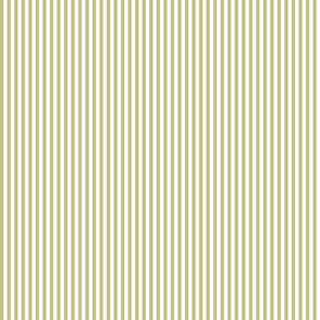 Candy Stripes Sprout on White