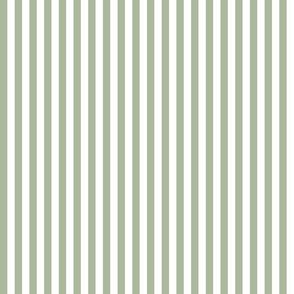 Candy Stripes Sage Green on White