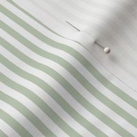 Candy Stripes Light Green on White