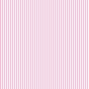 Candy pink on White