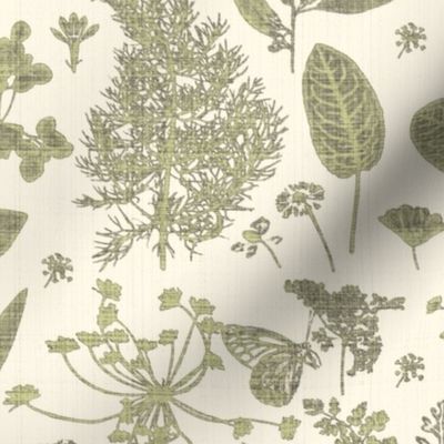 neutral herb botanicals 
