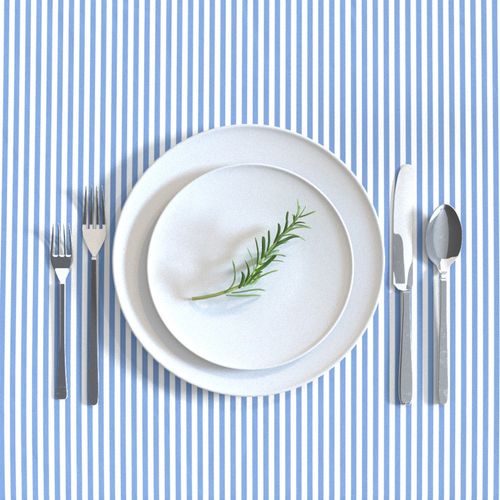 Candy Stripe cornflower on White