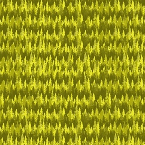 Small Endless Evergreen Forest with Fir Trees in Shades of Golden Yellow