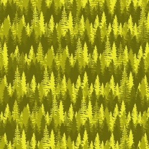 Endless Evergreen Forest with Fir Trees in Shades of Golden Yellow