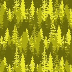 Large Endless Evergreen Forest with Fir Trees in Shades of Golden Yellow