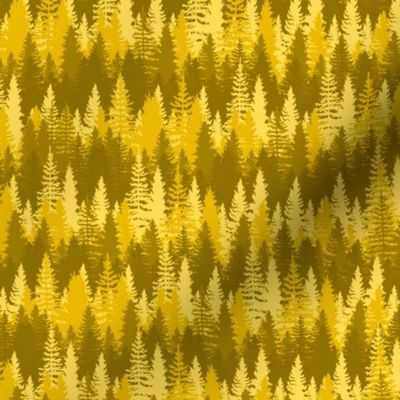 Small Endless Evergreen Forest with Fir Trees in Shades of Orange