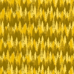  Endless Evergreen Forest with Fir Trees in Shades of Orange