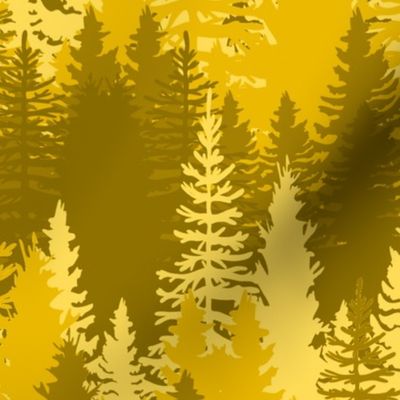 Large Endless Evergreen Forest with Fir Trees in Shades of Orange