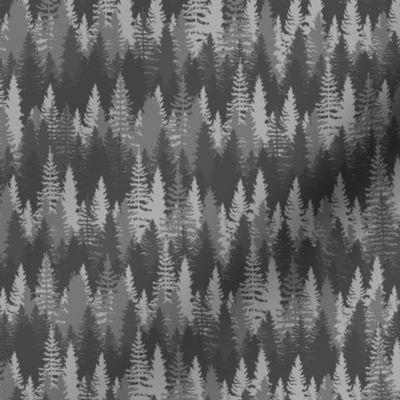 Small  Endless Evergreen Forest with Fir Trees in Shades of grey