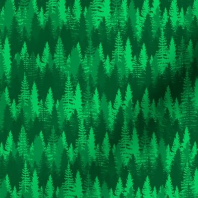 Small Endless Evergreen Forest with Fir Trees in Shades of Bright Green