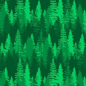 Large Endless Evergreen Forest with Fir Trees in Shades of Bright Green