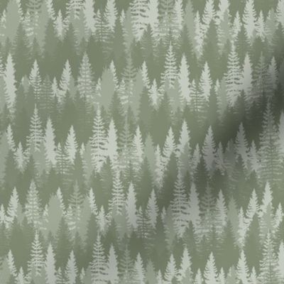 Small Endless Evergreen Forest with Fir Trees in Shades of Sage Green