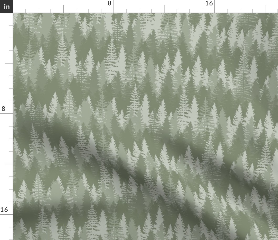 Endless Evergreen Forest with Fir Trees in Shades of Sage Green