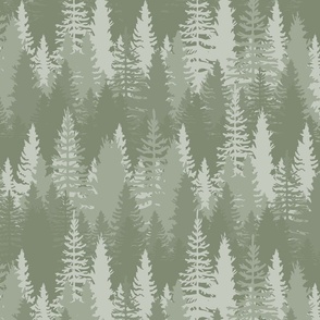Large  Endless Evergreen Forest with Fir Trees in Shades of Sage Green