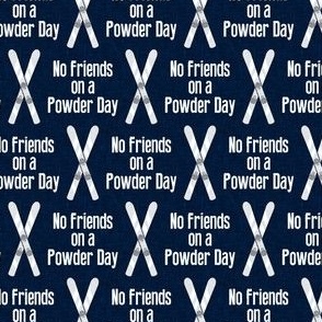 No Friends on a Powder Day - skis - grey/navy - LAD22