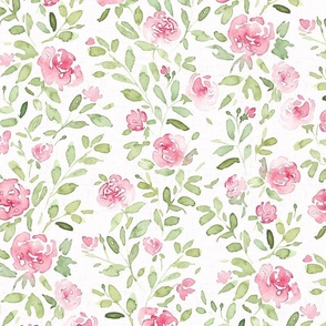 Pink climbing  roses - white medium - watercolor floral