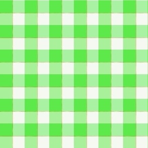 Gingham Check with Gold Stripe- Apple Green