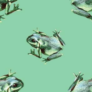 (large) Frogs on a green background