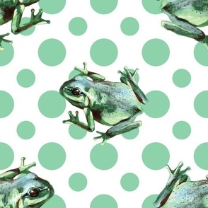 (large) Frogs on a white background with green dots