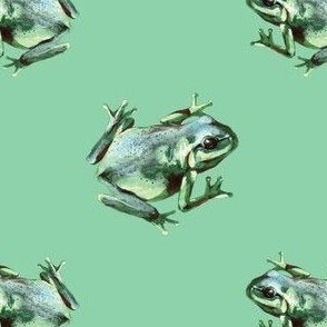 (small) Frogs on a green background