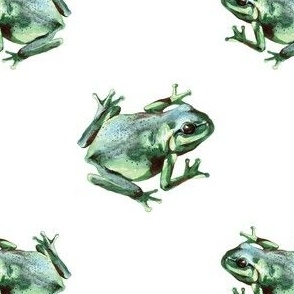 (small) Frogs on a white background