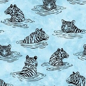 (small) Swimming Tigers