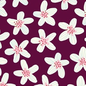 Sakura flowers - Cherry blossom on purple