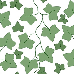 Ivy Leaf on Vine-20in