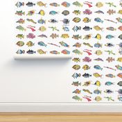 30 Cute Cartoon Tropical Fish