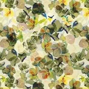 Hydrangea flowers new colour-01