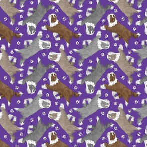 Trotting Bearded Collies and paw prints - purple