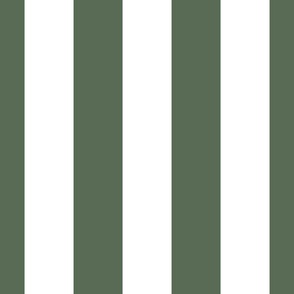 peale green and white Cabana Stripe