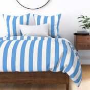 cerulean and white Cabana Stripe