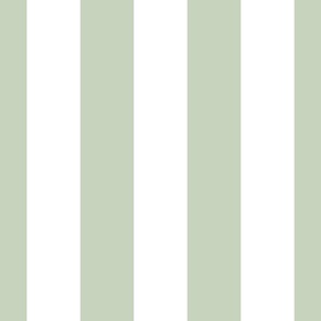 light green and white Cabana Stripe
