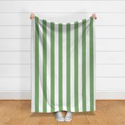 fresh green and white Cabana Stripe