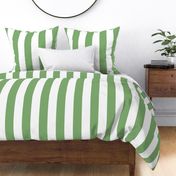 fresh green and white Cabana Stripe